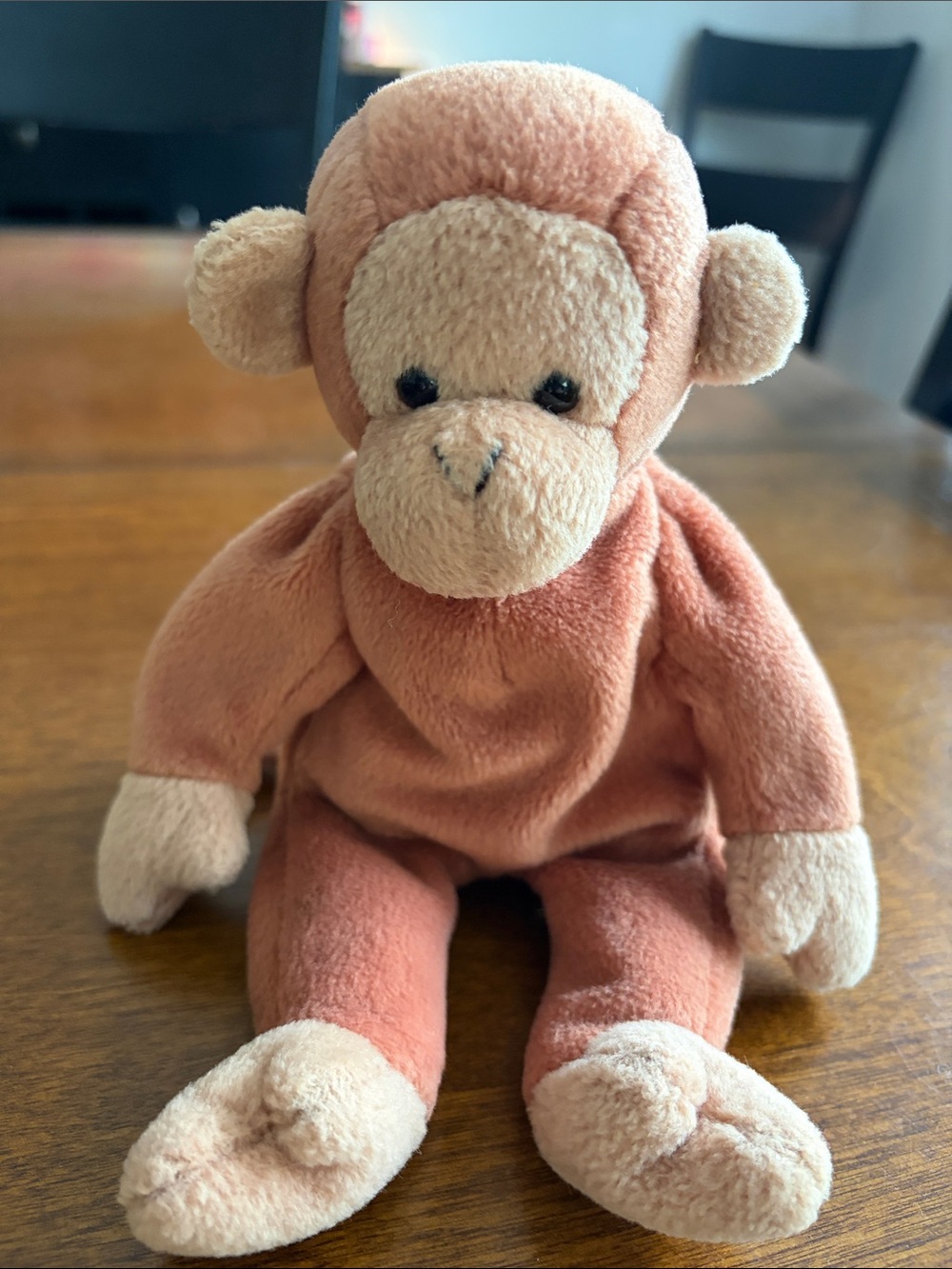 NWOT Beanie Baby Bongo
